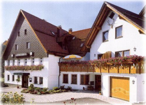 Отель Hotel Gasthof Hirsch  Альфдорф